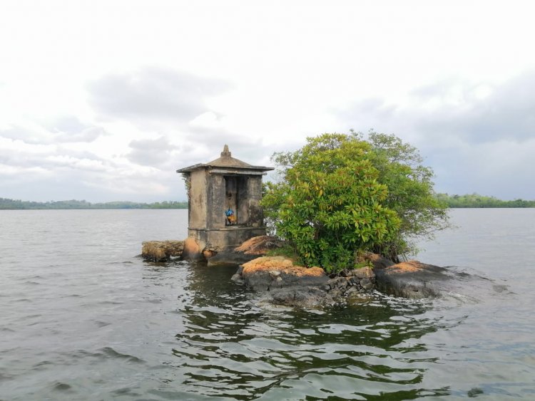 Madu Ganga River Boat Safari