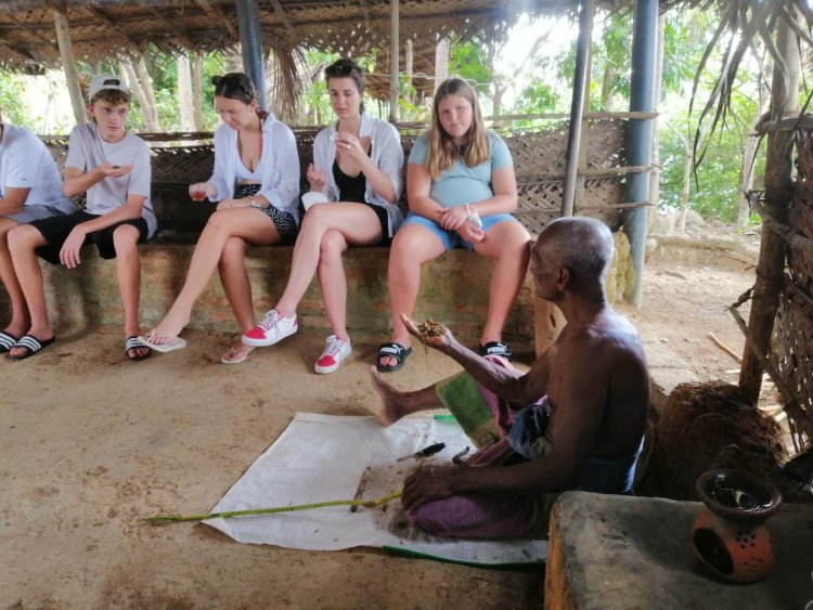 Demonstration of Cinnamon Production