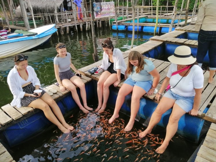 Fish Therapy (Foot Massage with Doctor Fish)