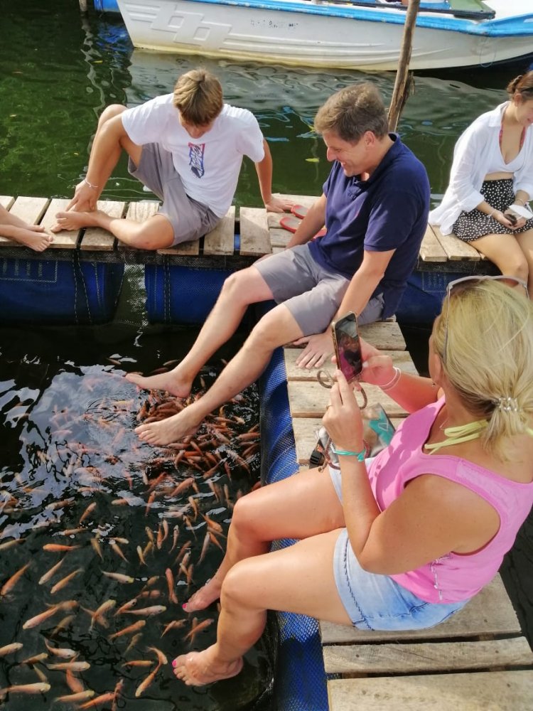 Fish Therapy (Foot Massage with Doctor Fish)