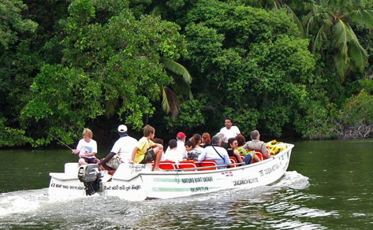 Madu Ganga River Boat Safari