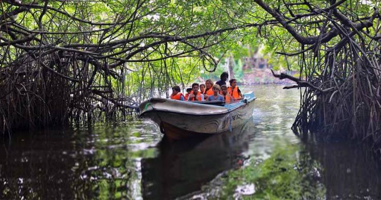 මාදු ගඟ - ශ්‍රී ලංකාව් වැඩිම දූපත් ප්‍රමාණයක් සහිත ගංඟාව